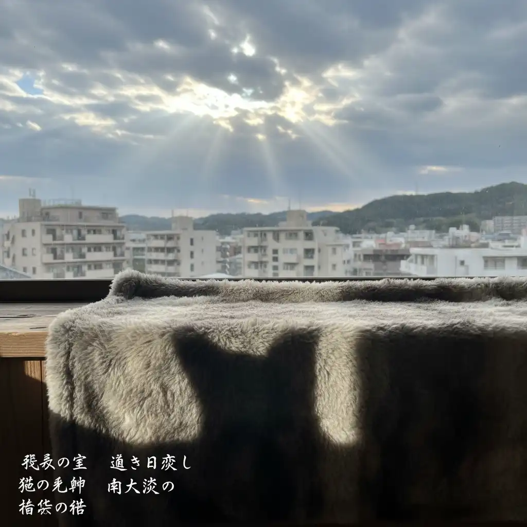 Minamiosawa Cat Blanket Holds Distant Shadows of Loss